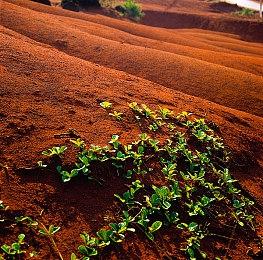 生存沙盒游戏《Honeycomb: The World Beyond》故事预告 年内发售